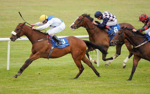 Intyre Trail & Ronan Whelan race clear