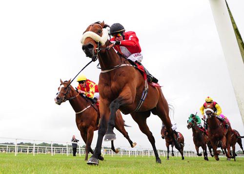 Inxile and Adrain Nicholls land the spoils