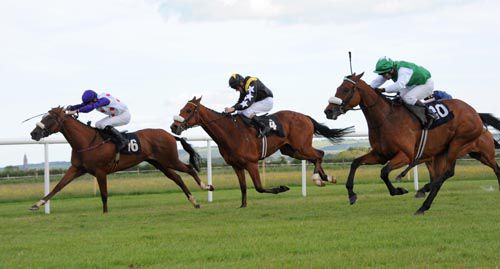 Orpens Peach (far side) is about to defeat Ashton Rose (10) and Landsdowne (4)