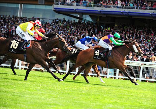 Prohibit and Jim Crowley winning from Star Witness (number 11) and Sweet Sanette (16)