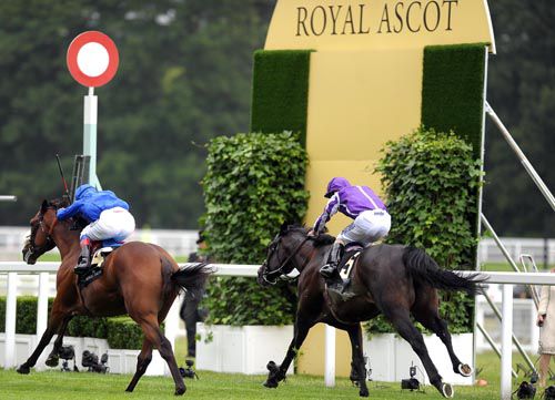 Rewilding (nearside) catches So You Think at Royal Ascot