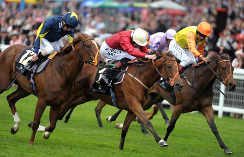 Best Terms (centre) beats off all comers at Royal Ascot