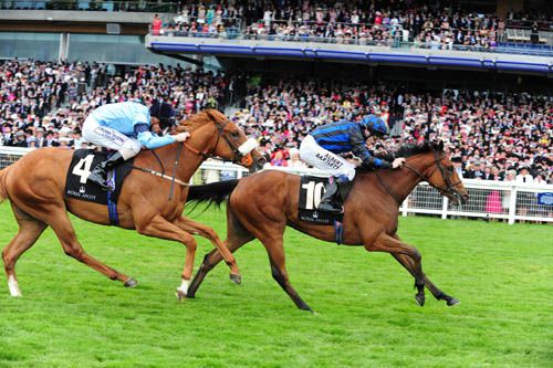 Samitar and Jamie Spencer win from Inetrobil 