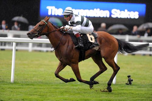 Immortal Verse and Gerald Mosse stride clear
