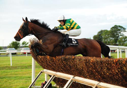 Harold's Cross and Alan Crowe