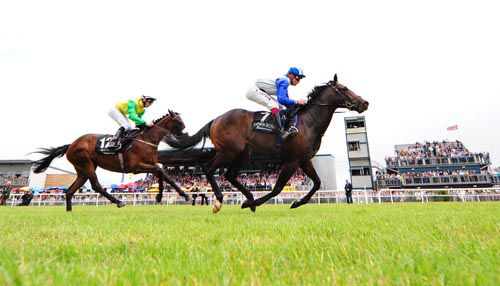 Gin Rummy beats Blue Mimosa at Down Royal