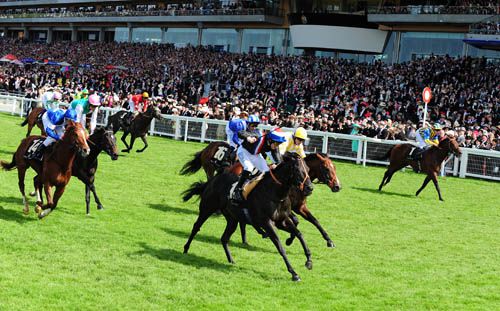 Society Rock leads them home in the Golden Jubilee