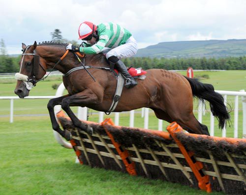 Devils Bit clears the final hurdle for an easy win under Sean McDermott