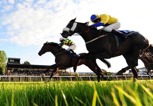 Whatever It Takes (far side) touches off Music On D Waters to provide Wayne Lordan with a double