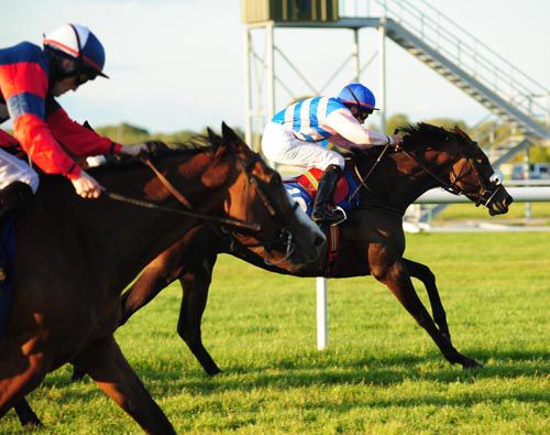 Asiya holds off Ghareer and Define (hidden) for a gutsy win under Leigh Roche