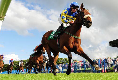 Core Element and Gary Carroll