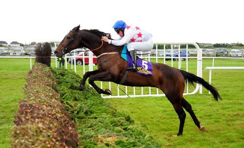 Mr Bones fractured his pastern