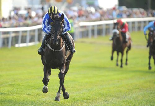 Bingo Lady and Tom Doyle