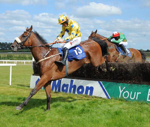 Lets Go Sunshine clears the last on his way to victory with King High in behind