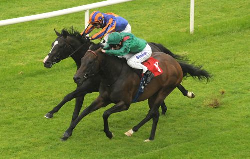Zabarajad and Johnny Murtagh (near side) get up to win by a head