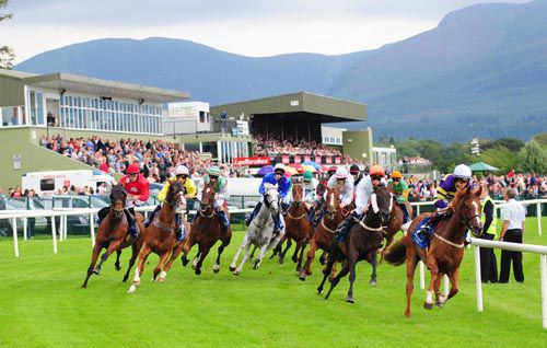 The 12 runners turn away from the stands in the early stages of the Derrinstown Stud Apprentice Handicap