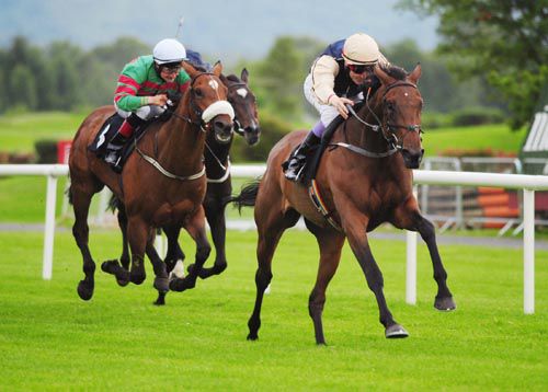 Negotiate strides clear under Fran Berry