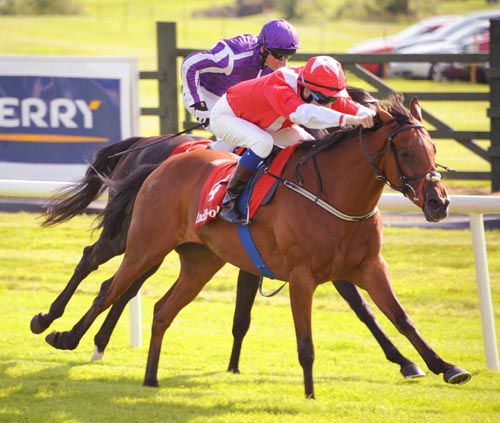 Takeyourcapoff is pushed out by Fran Berry to get the better of Sam Lord's Castle (purple)