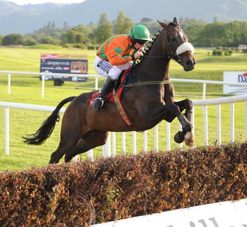 Hot Friend & Philip Enright at the last fence 