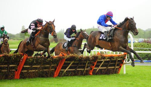 Van Wyck jumps the last ahead of Nurse Ryan with Sox's Girl (navy) & Slaney Time (blinkers) in behind