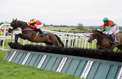 Tory Hill Lad jumps the last ahead of Excellent As Usual