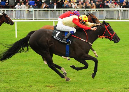 English raider Captain Carey in the red bridle, holds off Cheviot to win the Rockingham