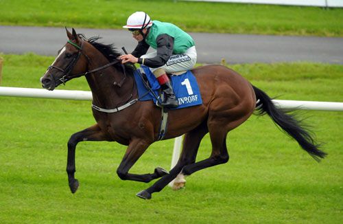 Giant's Quest comes home clear under Pat Smullen
