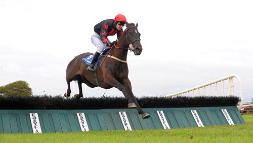 Major Harry winning under Tony Kelly 