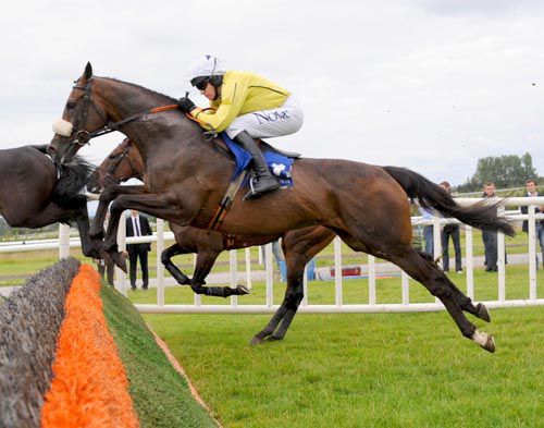 Hans Crescent jumps a hurdle early on in the race under Barry Geraghty