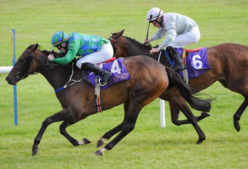 Hadrian's Waltz and Bill Lee get the better of Katherine Lee 