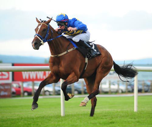 Sadler's Mark and Danny Mullins