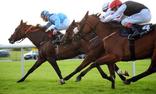 Galileos Daughter, left, sheds her maiden tag at Down Royal