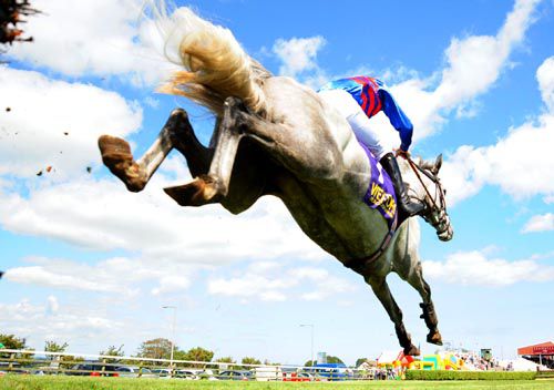 The flying grey Isobella Blue (Tim Carroll) clears the last