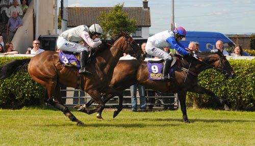 Vital Plot (blue sleeves) and Brian O'Connell edge past Goban Saor in the closing stages of the beginners chase
