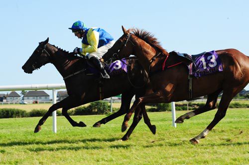 Ginger Genie (Colin Motherway) has the loose horse (Smiling Lady) for company near the line in the bumper