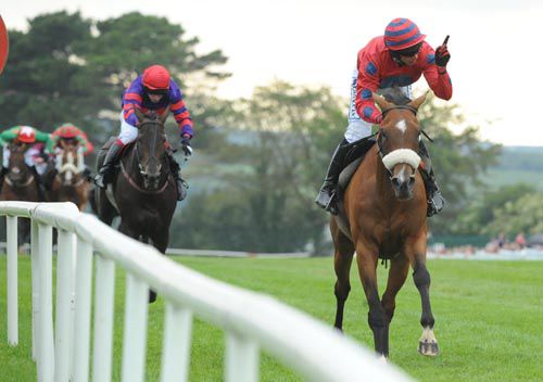 Davy Condon has time to signal to the crowd as Another Ambition easily wins the Galway Blazers