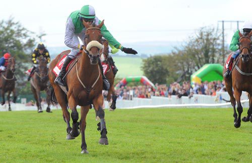 Truckers Delight gets a pat from his rider Conor O'Farrell as he comes home in front