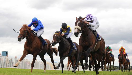 Tiffilia, right, keeps Empresario, left, and Buffalo Billy at bay in the opener at Naas