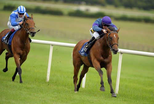 French Emperor strides clear of Pitlochry at Naas