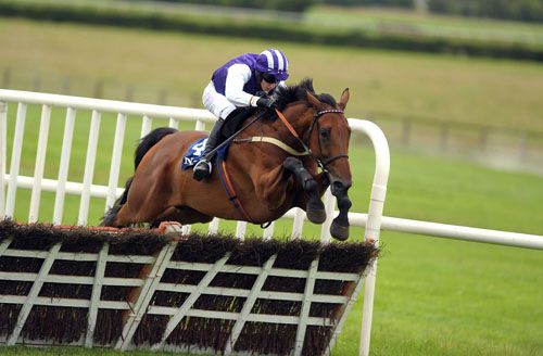 Blazing Beacon pops the last under Eddie O'Connell at Naas