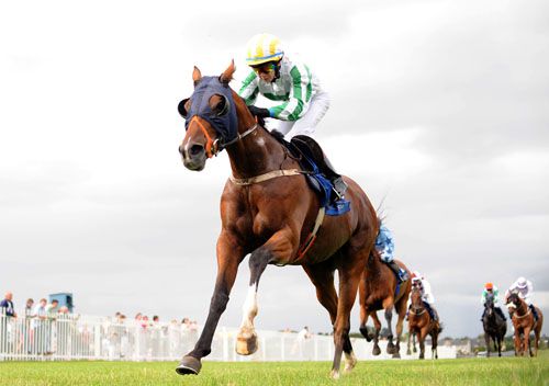 Star Links and Gary Phillips come home clear at Naas 