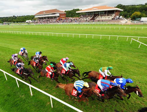 An aerial view of the Cork bumper runners with Hang On Groovy (blue/red) to the fore