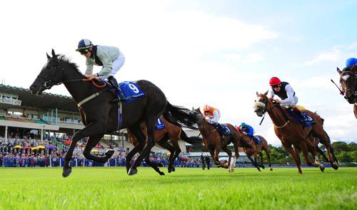 Kate Greenaway and Niall McCullagh swoop to conquer at Leopardstown