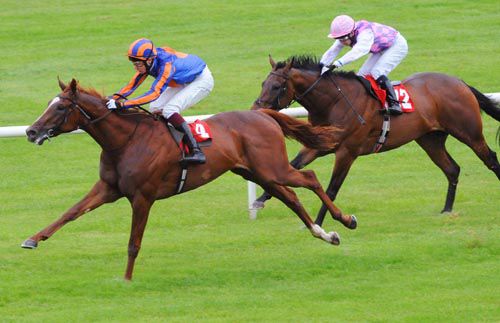 Daddy Long Legs pictured winning his maiden at Gowran last August