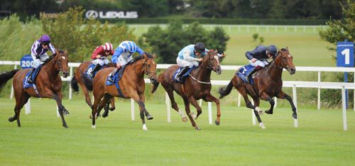 Astrology, left, starts to wind up his powerful finish at Leopardstown