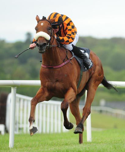 Solaris Exhibition and Gary Carroll