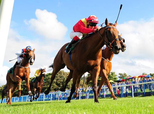 Royal Intruder is pushed out to the line by Fran Berry 
