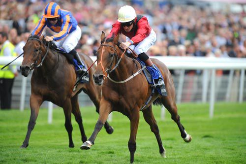 Best Terms and Richard Hughes win from Fire Lily