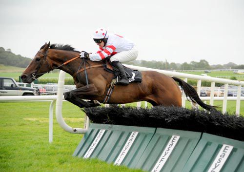 Burma Rock and Andrew Leigh on way to easy success