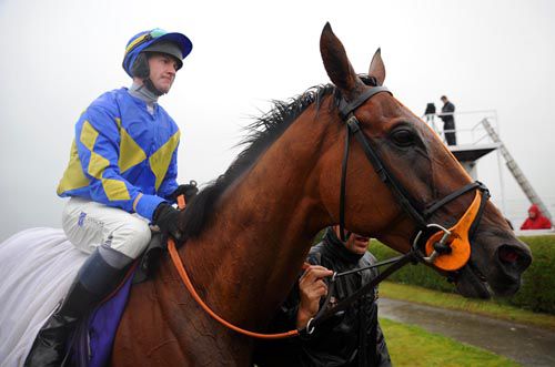 The Real Article proved too good for his two rivals at Wexford